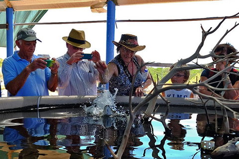 Cape Leveque 4WD Tour From Broome With Optional Return Flight - Coogee Beach Accommodation 0