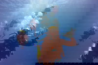 12-Day Great Barrier Reef Marine Conservation Program from Cairns