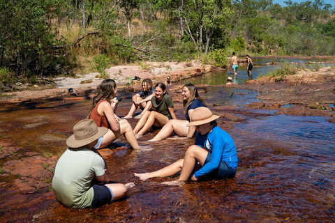 Litchfield National Park Waterfalls And Wildlife Tour From Darwin - Coogee Beach Accommodation 1