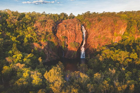 Litchfield National Park Waterfalls And Wildlife Tour From Darwin - Coogee Beach Accommodation 2