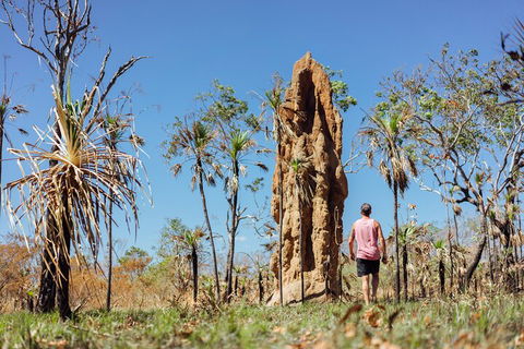 Litchfield National Park Waterfalls And Wildlife Tour From Darwin - Coogee Beach Accommodation 4