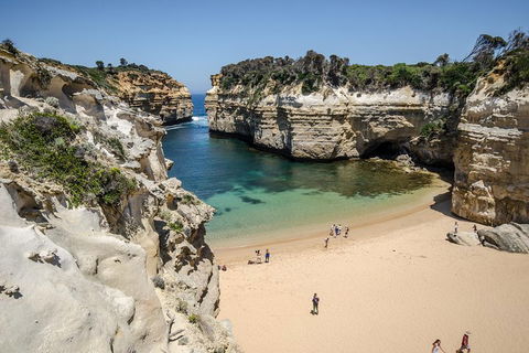 Great Ocean Road Reverse Itinerary With 12 Apostles From Melbourne - Coogee Beach Accommodation 5
