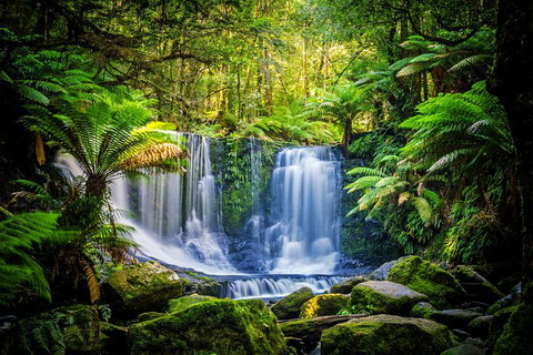 Day Tour In Mt. Field, Mt. Wellington, Bonorong Wildlife Sanctuary And Richmond - Coogee Beach Accommodation 0