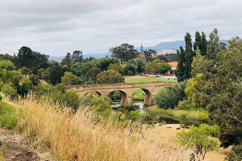 Day Tour In Mt. Field, Mt. Wellington, Bonorong Wildlife Sanctuary And Richmond - Coogee Beach Accommodation 3