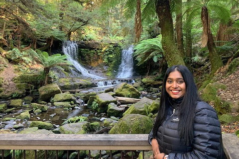 Day Tour In Mt. Field, Mt. Wellington, Bonorong Wildlife Sanctuary And Richmond - Coogee Beach Accommodation 5