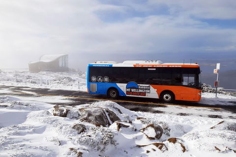 Hobart Hop-On Hop-Off Bus & Kunanyi/Mt Wellington Tour - Coogee Beach Accommodation 5