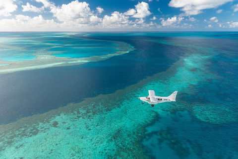 Scenic Flight - Great Barrier Reef, Heart Reef, Whitehaven Beach & Hill Inlet! - Coogee Beach Accommodation 3