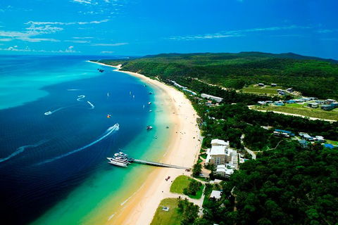 Tangalooma Island Resort Whale Watching Day Cruise - Coogee Beach Accommodation 2