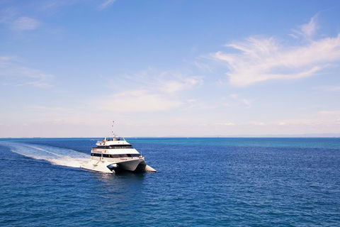 Tangalooma Island Resort Whale Watching Day Cruise - Coogee Beach Accommodation 5