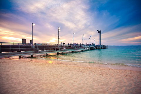Tangalooma Island Resort Whale Watching Day Cruise With Dolphin Viewing - Coogee Beach Accommodation 3
