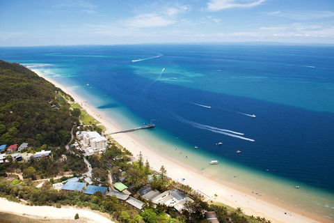 Tangalooma Island Resort Whale Watching Day Cruise With Dolphin Feeding - Coogee Beach Accommodation 2