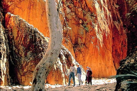 West MacDonnell Ranges Day Trip From Alice Springs - Coogee Beach Accommodation 3