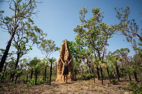 Litchfield National Park - Top End Day Tour From Darwin - Coogee Beach Accommodation 5