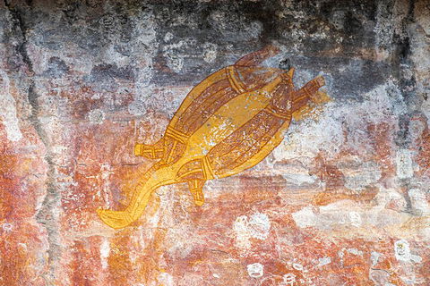 Kakadu Wilderness Escape - Top End Day Tour From Darwin - Coogee Beach Accommodation 2