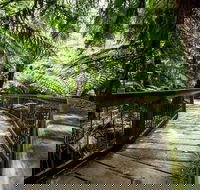 12 Apostles Eco-Friendly Great Ocean Road Iconic Adventure from Melbourne - Coogee Beach Accommodation