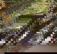 Adelaide Highlights Hahndorf  McLaren Vale Wine Tasting and Sightseeing Tour - Coogee Beach Accommodation