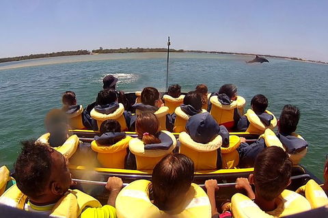 Jet Boat Express Ride - 30mins - Coogee Beach Accommodation 5