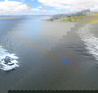 2.5 hour Afternoon Discovery Cruise including Cataract Gorge departs at 1 30 pm - Coogee Beach Accommodation