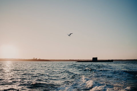 Phillip Island Twilight Cruise - Coogee Beach Accommodation 1