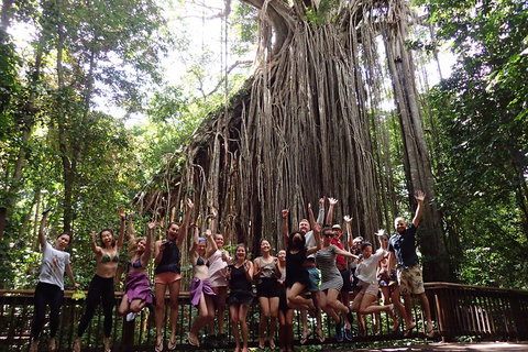 Atherton Tablelands Waterfalls Tour From Cairns - Coogee Beach Accommodation 5