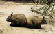 Phillip Island Penguin Parade, Brighton Bathing Boxes And Wildlife Park Tour - thumb 0