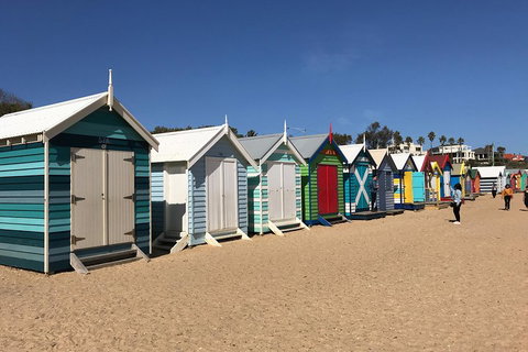 Phillip Island Penguin Parade, Brighton Bathing Boxes And Wildlife Park Tour - Coogee Beach Accommodation 3