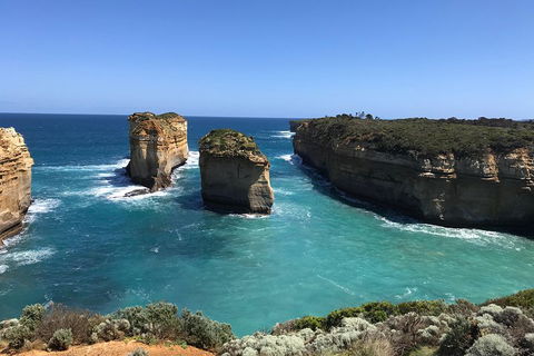 Great Ocean Road Reverse Itinerary PREMIUM Tour - Coogee Beach Accommodation 0