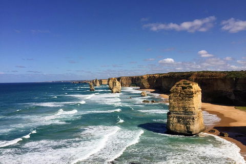 Great Ocean Road Reverse Itinerary PREMIUM Tour - Coogee Beach Accommodation 2