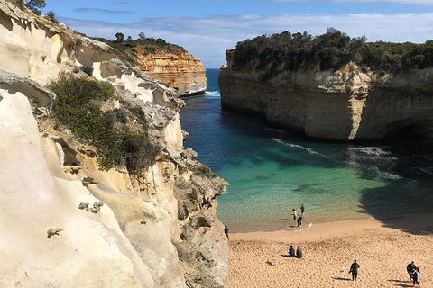 Great Ocean Road Reverse Itinerary PREMIUM Tour - Coogee Beach Accommodation 3