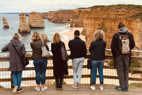 Great Ocean Road Reverse Itinerary PREMIUM Tour - Coogee Beach Accommodation 5