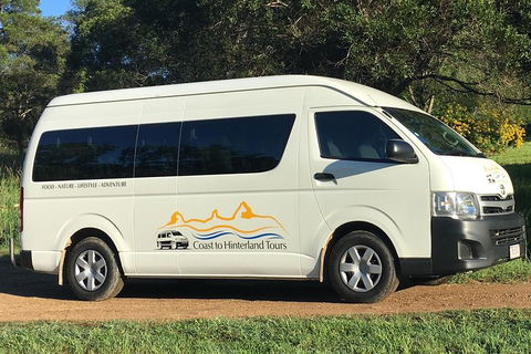 Noosa Everglades Serenity Cruise & Highlights Tour Inc. Lunch & Cruise - Coogee Beach Accommodation 5