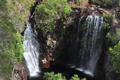 Litchfield And Jumping Crocodiles Full Day Trip From Darwin - Coogee Beach Accommodation 2