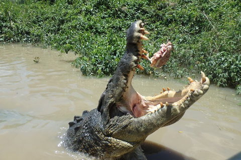 Litchfield And Jumping Crocodiles Full Day Trip From Darwin - Coogee Beach Accommodation 3