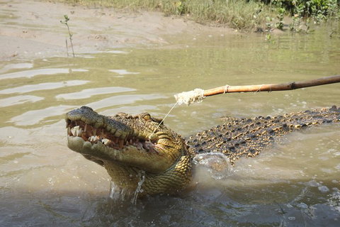 Litchfield And Jumping Crocodiles Full Day Trip From Darwin - Coogee Beach Accommodation 4