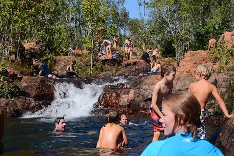 Litchfield And Jumping Crocodiles Full Day Trip From Darwin - Coogee Beach Accommodation 5