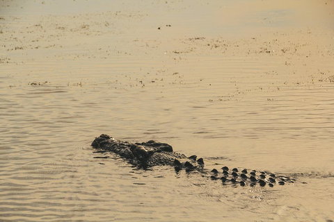 Yellow Water Cruise - Kakadu - Coogee Beach Accommodation 2