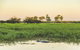Yellow Water Cruise - Kakadu - thumb 3