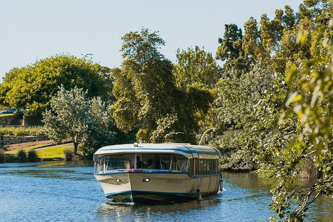 High Tea Cruise On Popeye - Coogee Beach Accommodation 3