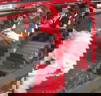 Blue Mountains Private Tour with Wildlife Park and River Cruise - Coogee Beach Accommodation