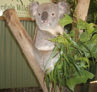 Blue Mountains Private Full-Day Tour from Sydney with Cruise - Coogee Beach Accommodation