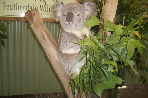 Blue Mountains Private Full-Day Tour From Sydney With Cruise - Coogee Beach Accommodation 0