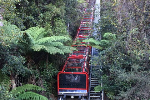 Blue Mountains Private Full-Day Tour From Sydney With Cruise - Coogee Beach Accommodation 5