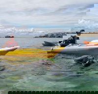 Seal Island and Penguin Island or Point Peron Sea Kayak Tour - Coogee Beach Accommodation