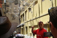 Book Viator Accommodation Vacations Coogee Beach Accommodation Coogee Beach Accommodation