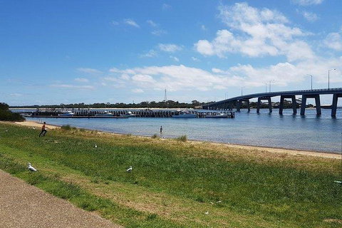 Phillip Island Penguin And Wildlife Tour - Coogee Beach Accommodation 4