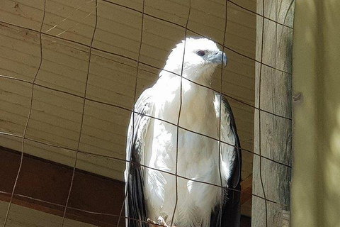 Phillip Island Penguin And Wildlife Tour - Coogee Beach Accommodation 5