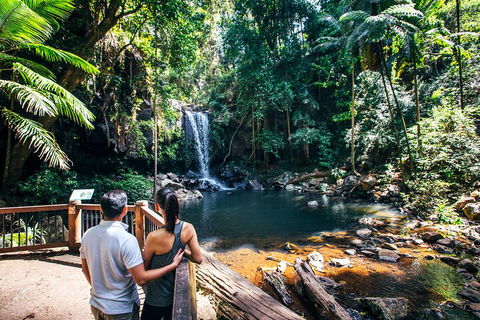 Aquaduck & Your Choice Of Gold Coast Rainforest Tour - Coogee Beach Accommodation 0