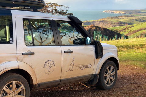 Kangaroo Island 4WD Tour - Best Of KI In 2 Days - Coogee Beach Accommodation 4