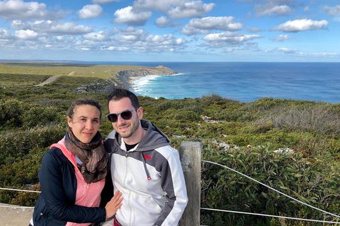 Kangaroo Island 4WD Tour - Flinders Chase - Coogee Beach Accommodation 1