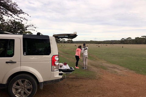 Kangaroo Island 4WD Tour - Flinders Chase - Coogee Beach Accommodation 3